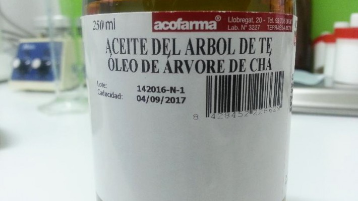 Roll on desodorante de aceite del árbol de té